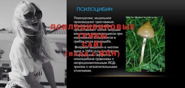 PSILOCYBIN Михайловка