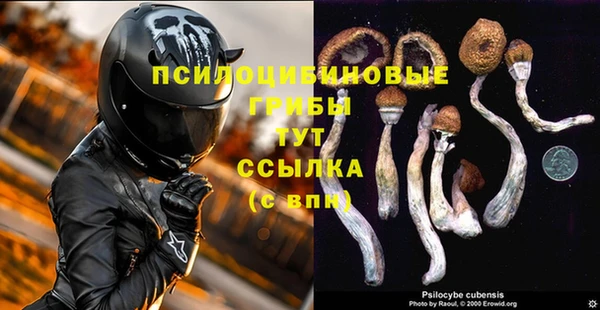 прущая мука Надым