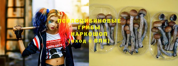 прущая мука Надым