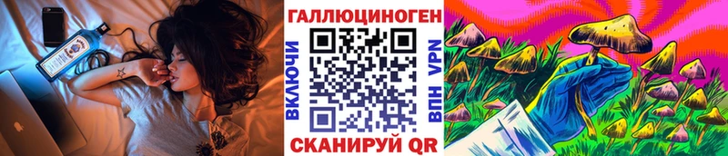 Псилоцибиновые грибы Psilocybine cubensis  Купить  Урюпинск 