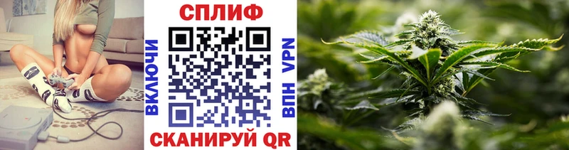 Купить где  Урюпинск  Каннабис тримм 